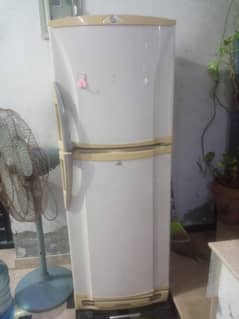 PEL Refrigerator Good condition