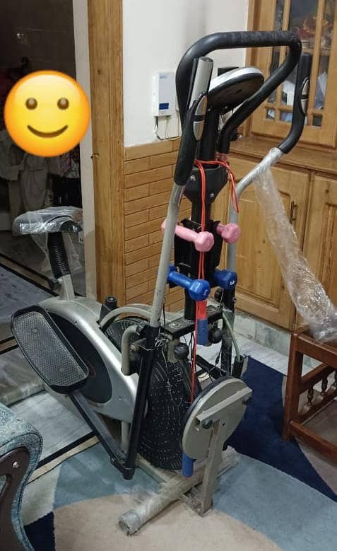 ELLIPTIC CYCLE Aone working condition 2