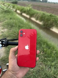 Iphone 11 PTA
