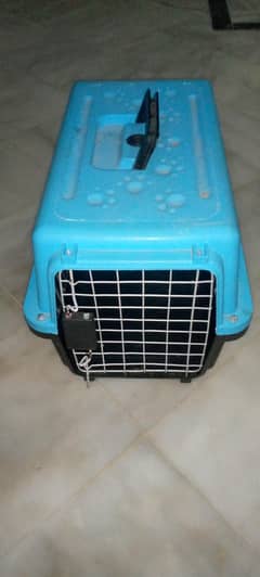 cat cage