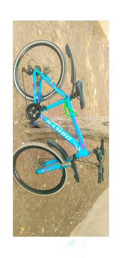 Rambo cycle