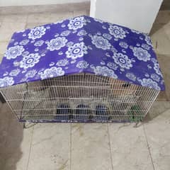 cage / birds cage colony