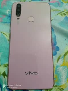 VIVO