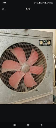 Asian Cooler