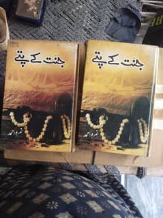 novel