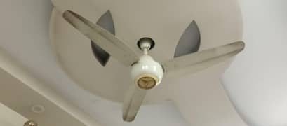 Ac dc fan