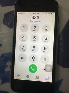 Apple iPhone 5s non pta