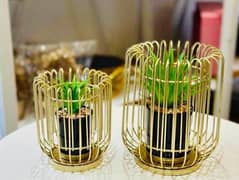 Elegant Aritifical cage plant