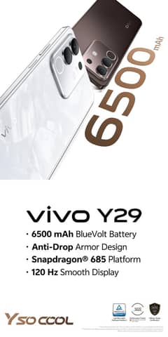vivo y29