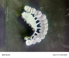 trained dental assistant