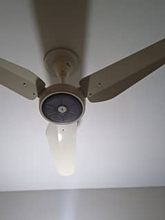 3 Ceiling fans