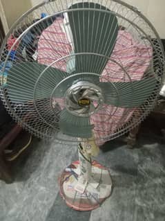 Fan Sale