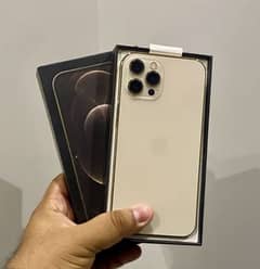 12 pro max pta