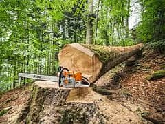 Alhafiz wood cutting