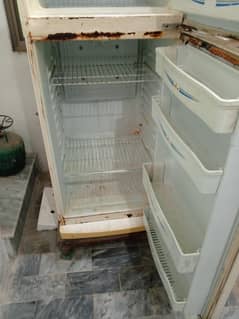 waves Refrigerator