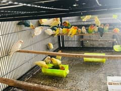 Mix