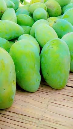 super CHONSA Multan ka