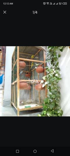 Birds Cage with Dolis