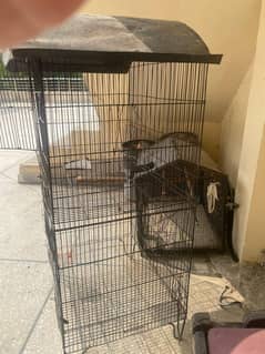 DOUBLE SIDE CAGE IN GOOD CONDITION