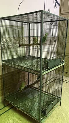 pair for sell