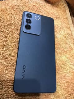 vivo