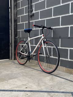 Adele 2020 Roadbike
