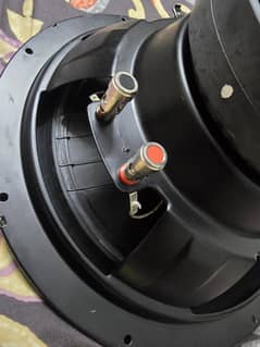 Champion Series Pioneer D2 Heavy Woofer