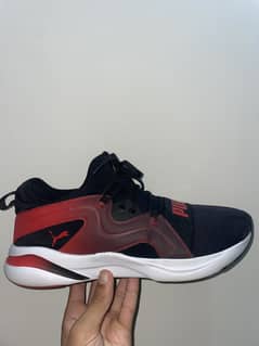 PUMA