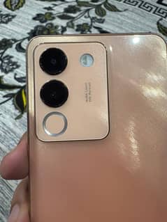 vivo v29e 8/256