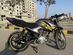 YBR125G