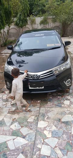 toyoyq corolla Gli