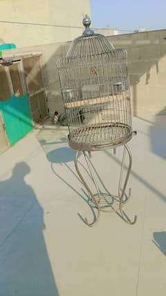 2 2 cages hain 1 RINGNECK FEMALE talking krti krti Hy 20 Matki