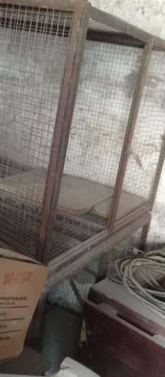 Bird Cages