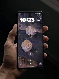 Google Pixel 6 pro
