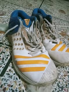 Cricket Spikes (Size 10) – Excellent Grip & Comfort