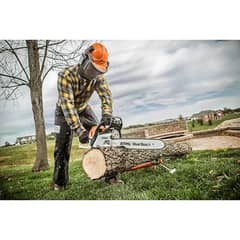 Alhafiz trees cutting
