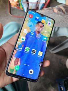 vivo
