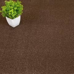 carpet in good condition