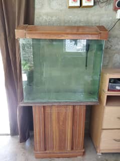 2.5 Ft aquarium with 6 inches Tinfoil Barb.