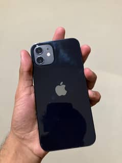 iPhone 12 jv