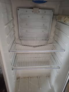 frige for seal