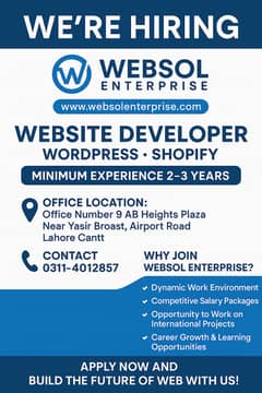 Website Developer Office Based