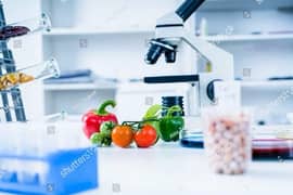 Investment Opportunity in Food Chemical Innovation