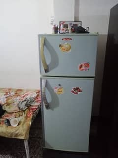 medium size freezer