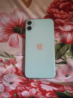 IPhone 11 64GB JV Lush Condition