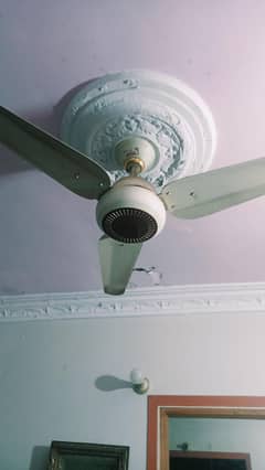 Urgent Sale Indus Ceiling fan Looking New