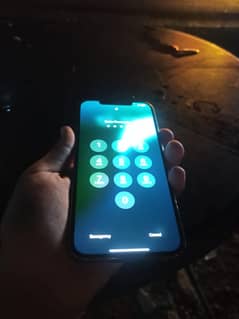 12 pro max