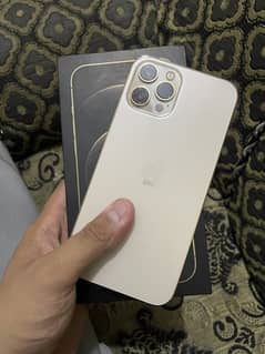 12 pro max 256gb dual physical pta approve