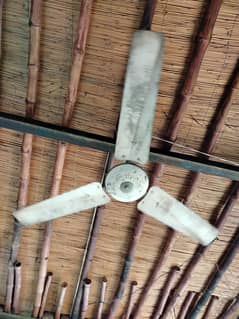 ceiling