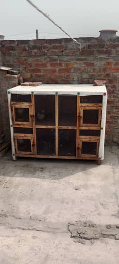 cage for sell 03247787639